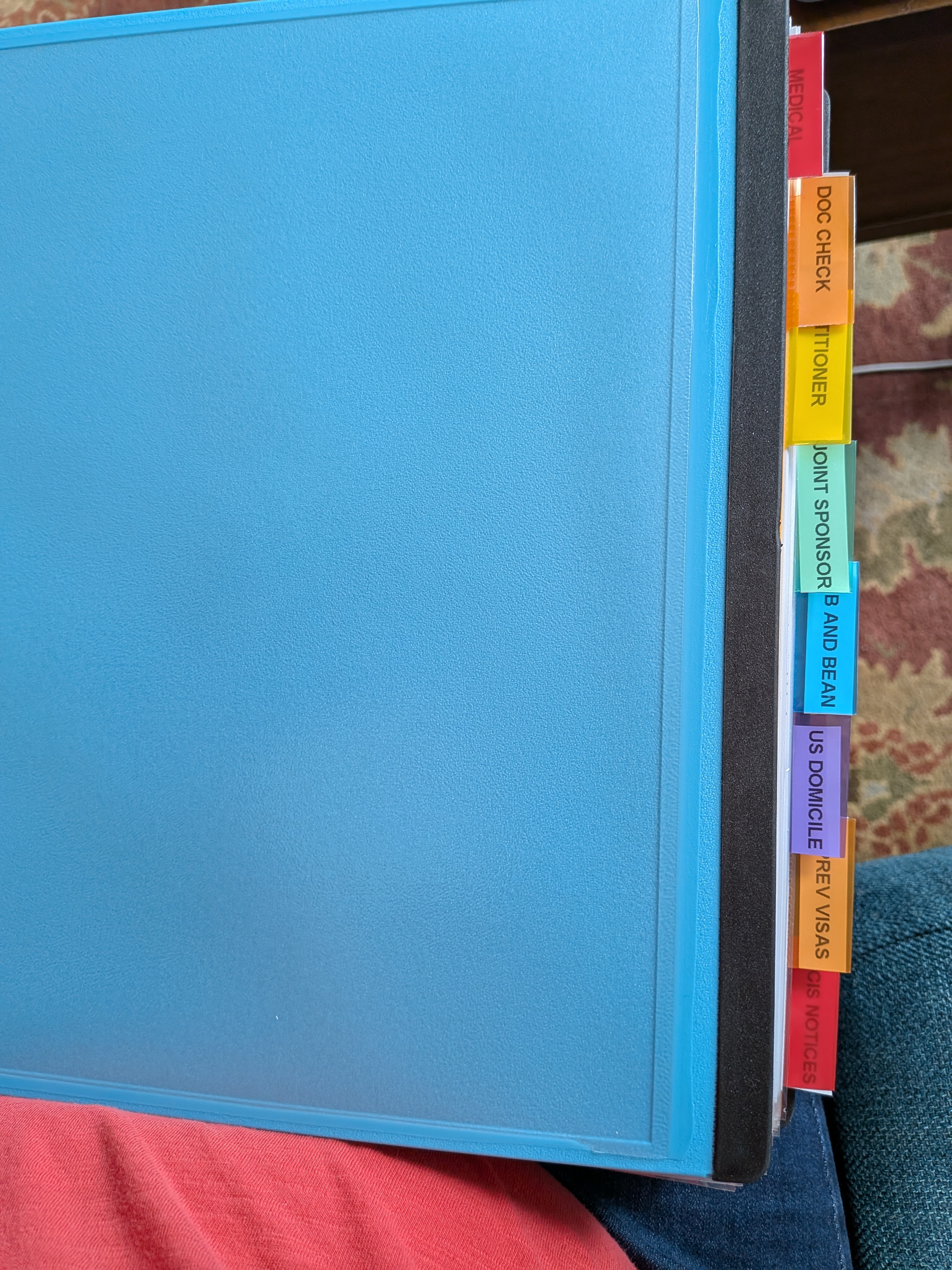 Blue ring binder with labelled divider tabs